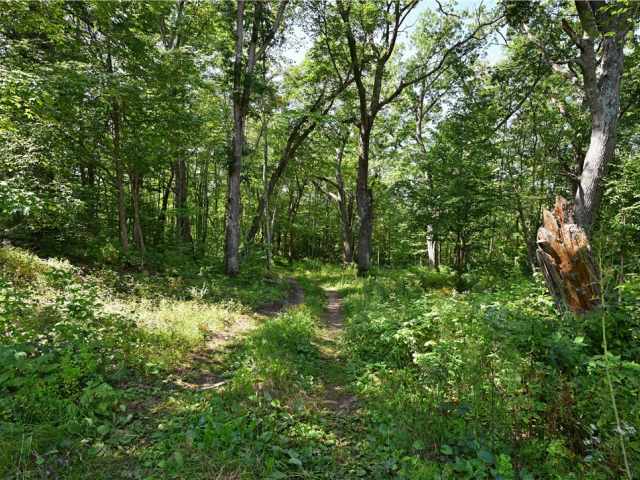 Trego Residential Real Estate