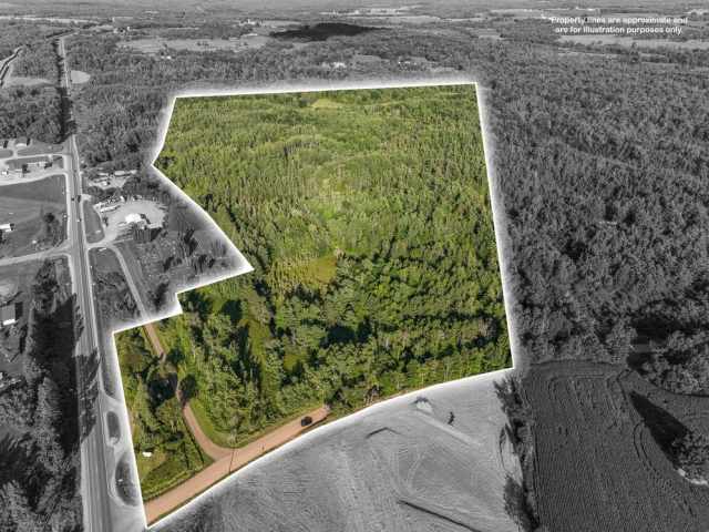 Weyerhaeuser Land Real Estate