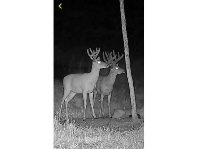 Weyerhaeuser Land Real Estate