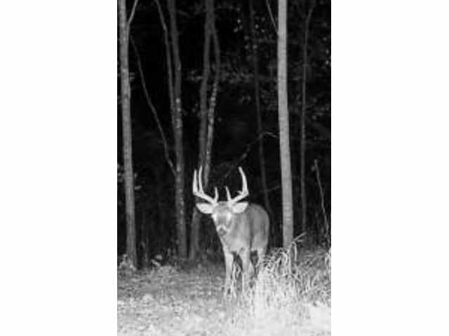 Weyerhaeuser Land Real Estate