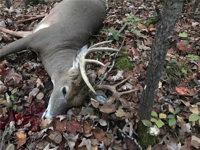 Weyerhaeuser Land Real Estate