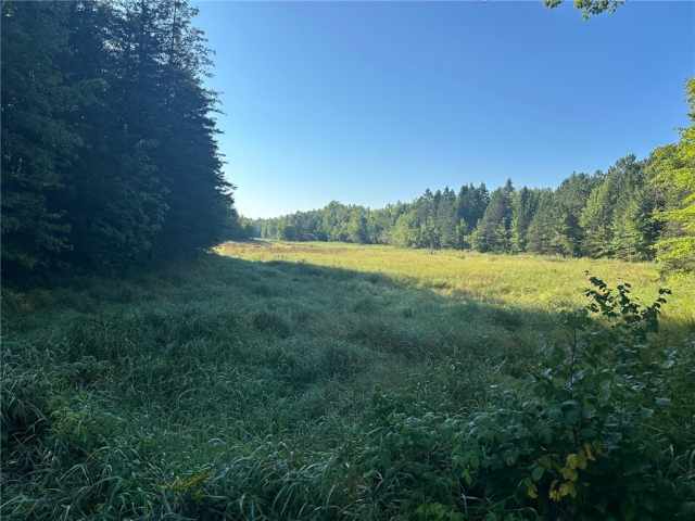 Weyerhaeuser Land Real Estate