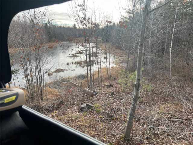 Weyerhaeuser Land Real Estate