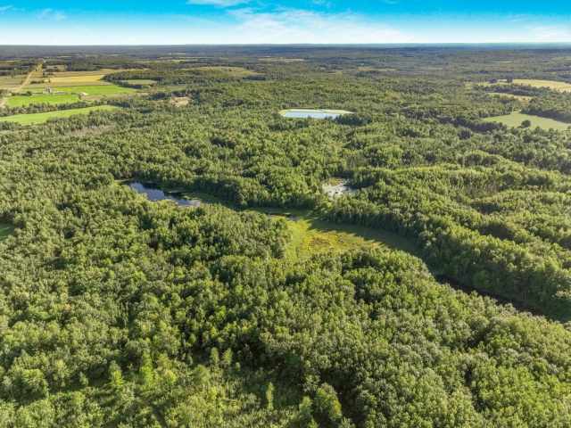 Weyerhaeuser Land Real Estate