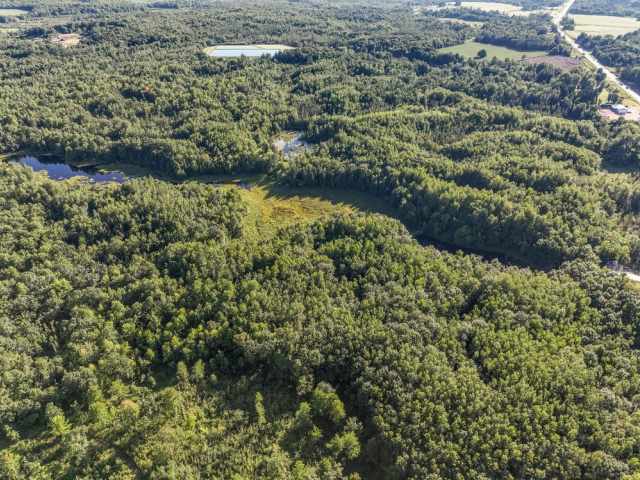 Weyerhaeuser Land Real Estate