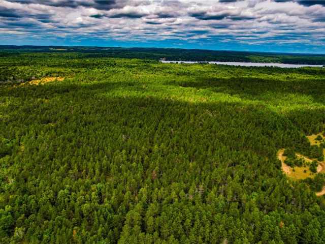 Augusta Land Real Estate
