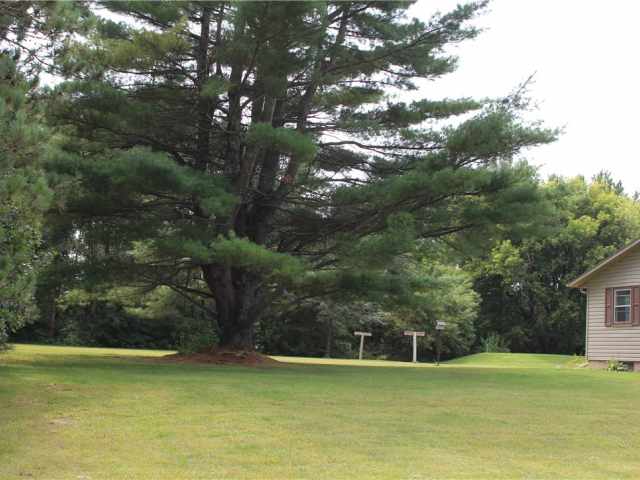 Fall Creek Residential Real Estate