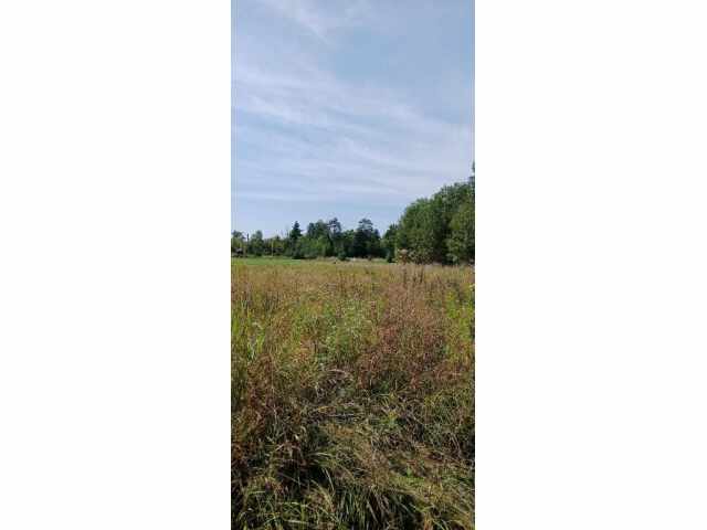 Augusta Land Real Estate