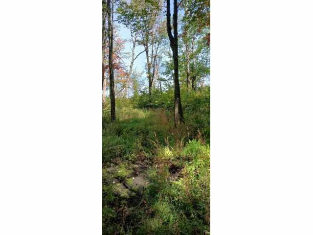 Augusta Land Real Estate