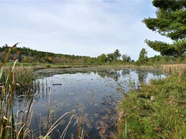 Shell Lake Residential Real Estate