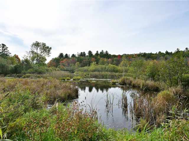 Shell Lake Residential Real Estate