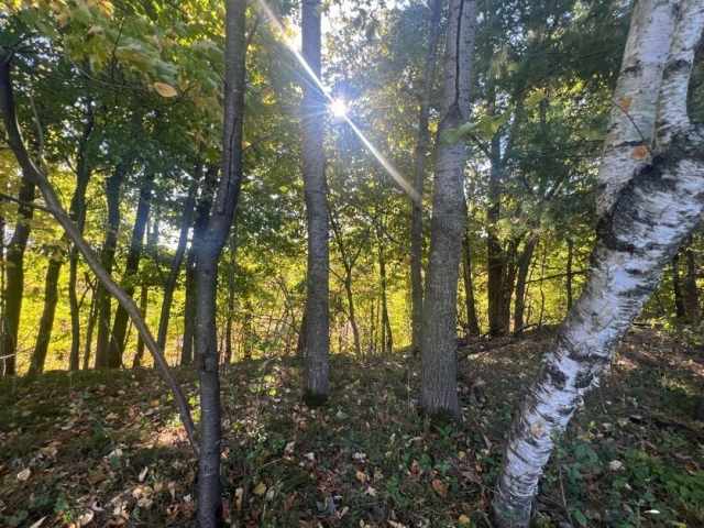 Menomonie Land Real Estate