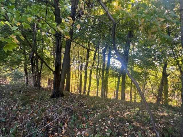 Menomonie Land Real Estate