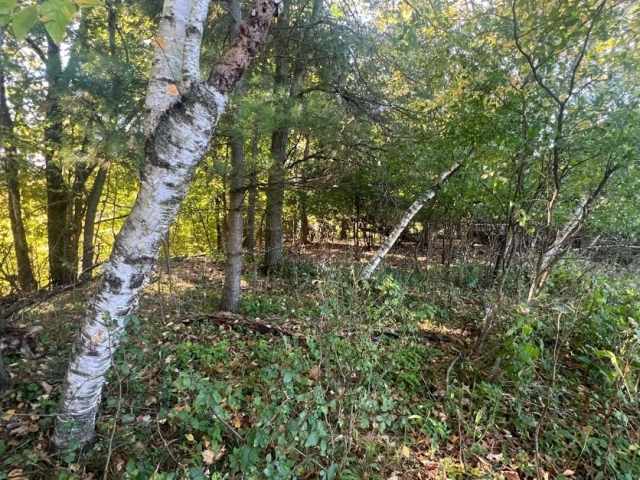 Menomonie Land Real Estate
