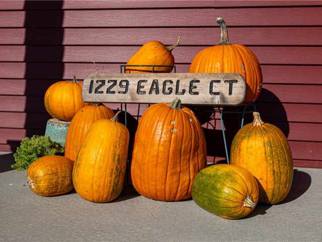 Ladysmith Residential Real Estate