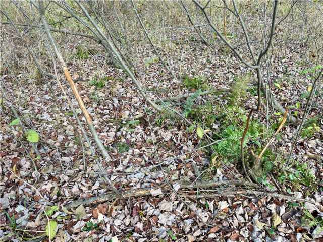 Fairchild Land Real Estate