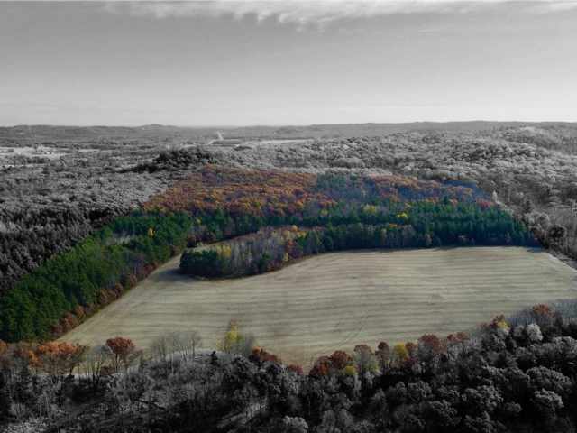 Fairchild Land Real Estate