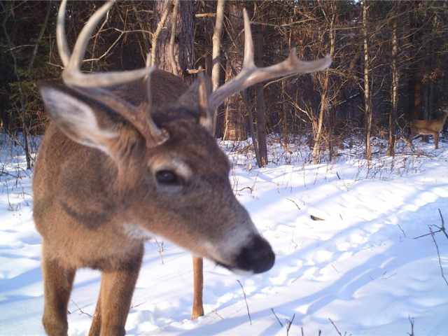 Fairchild Land Real Estate