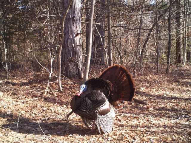 Fairchild Land Real Estate