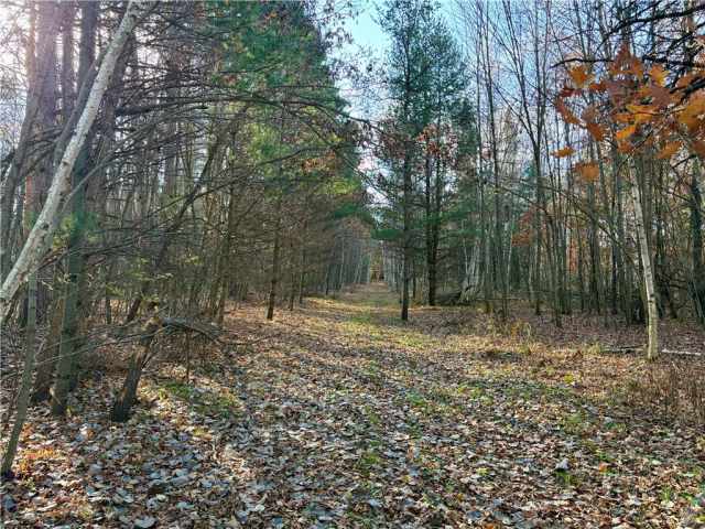 Fairchild Land Real Estate