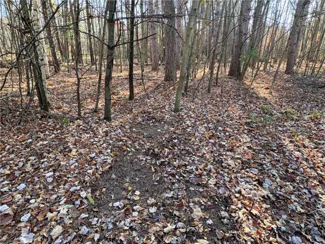 Fairchild Land Real Estate