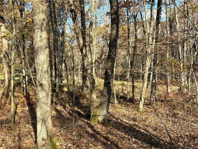 Fairchild Land Real Estate