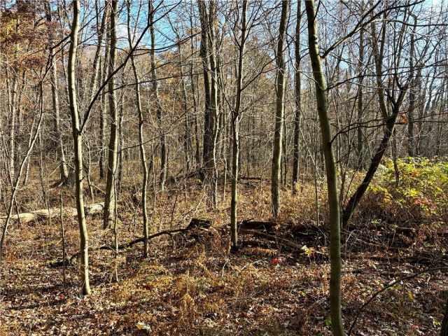 Fairchild Land Real Estate