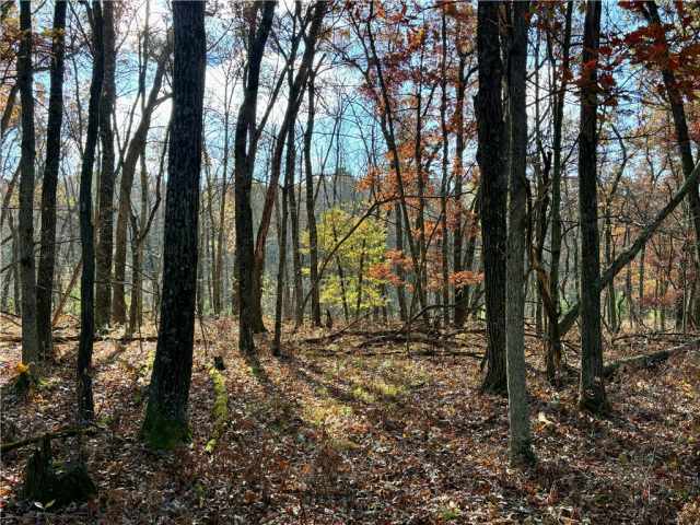 Fairchild Land Real Estate