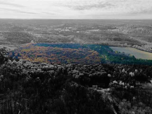 Fairchild Land Real Estate