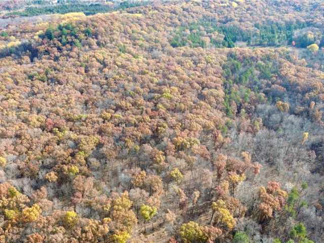 Fairchild Land Real Estate