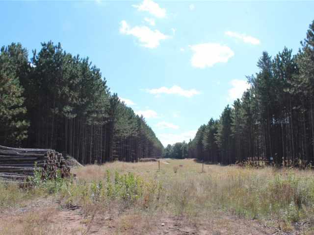 Grantsburg Land Real Estate