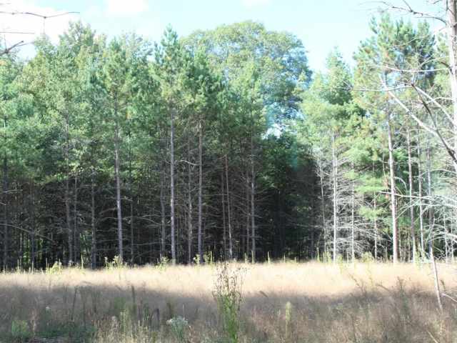 Grantsburg Land Real Estate