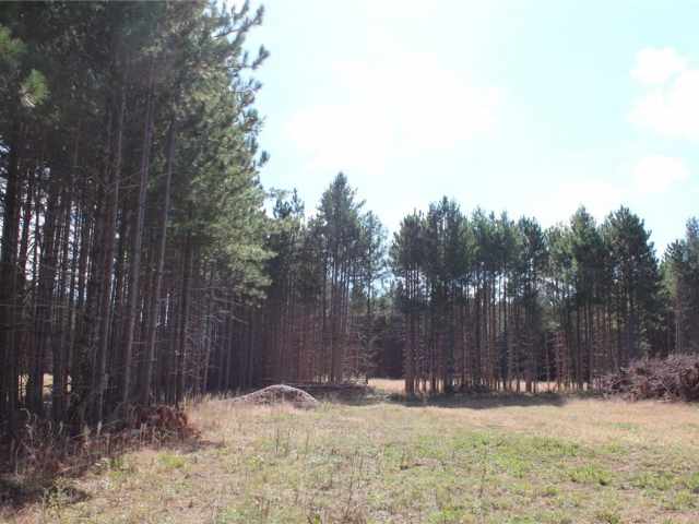 Grantsburg Land Real Estate