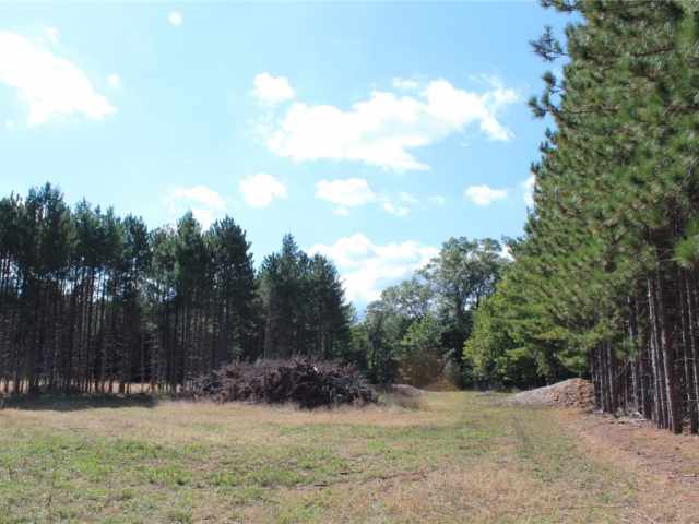 Grantsburg Land Real Estate