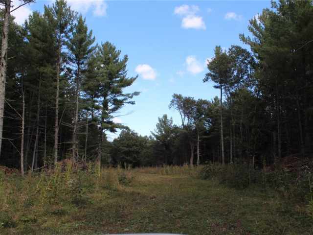 Grantsburg Land Real Estate