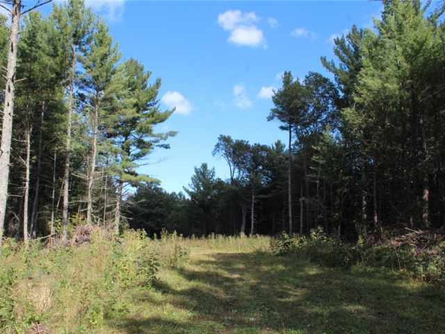 Grantsburg Land Real Estate