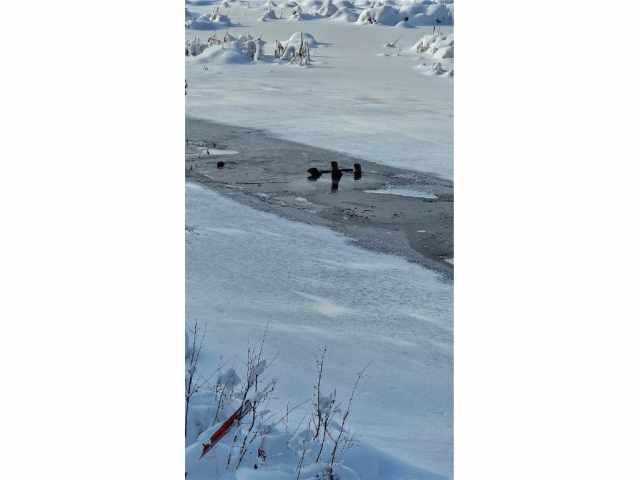 Hayward Residential Real Estate