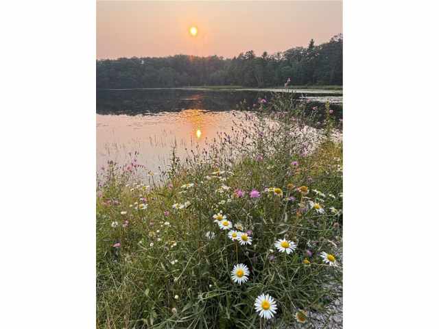 Hayward Residential Real Estate