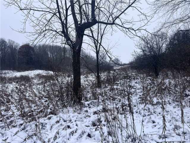 Clear Lake Land Real Estate