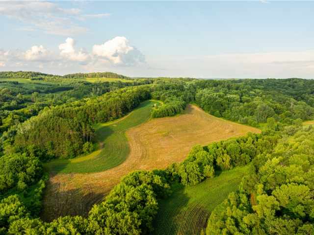 Mondovi Land Real Estate