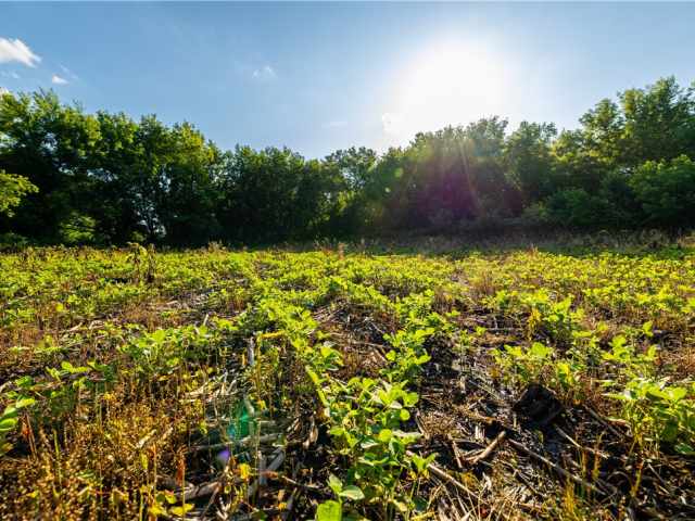 Mondovi Land Real Estate