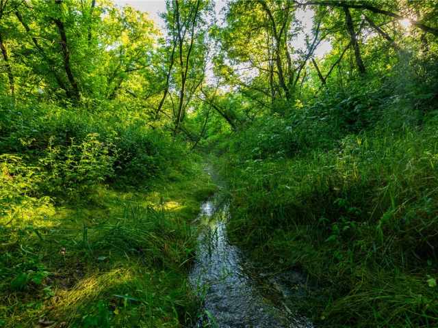 Mondovi Land Real Estate