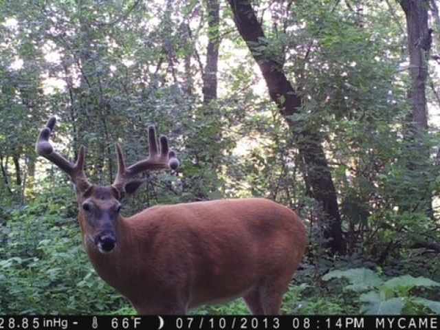 Mondovi Land Real Estate