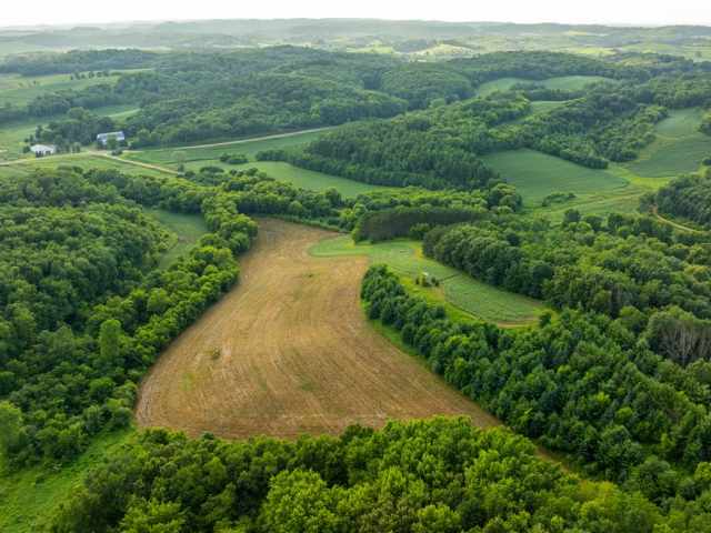 Mondovi Land Real Estate