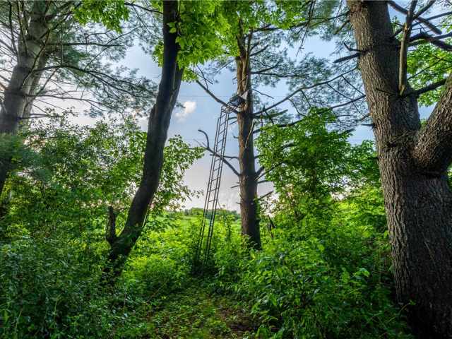 Mondovi Land Real Estate