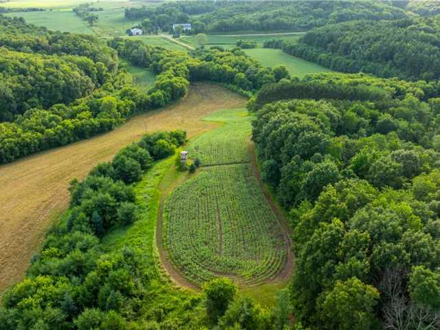 Mondovi Land Real Estate