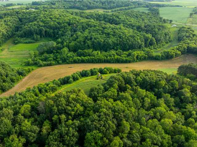 Mondovi Land Real Estate