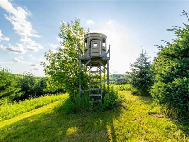 Mondovi Land Real Estate