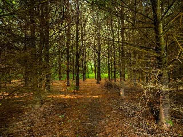 Mondovi Land Real Estate