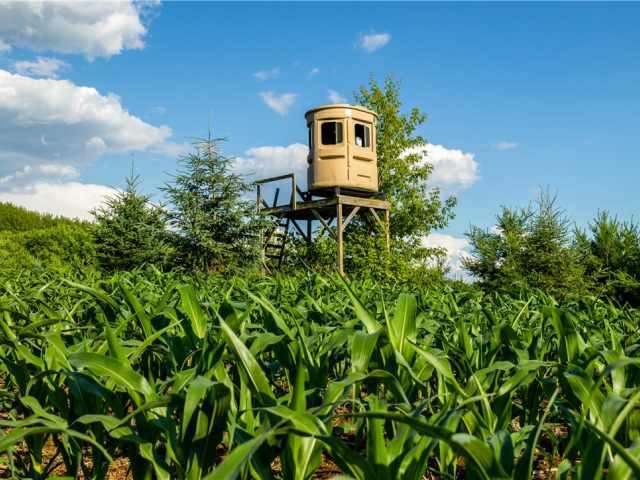 Mondovi Land Real Estate